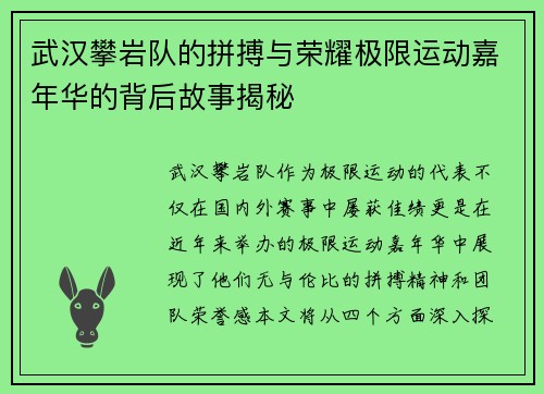 武汉攀岩队的拼搏与荣耀极限运动嘉年华的背后故事揭秘