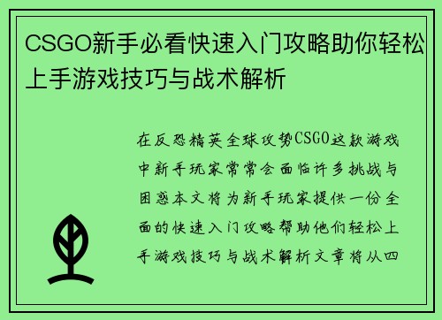CSGO新手必看快速入门攻略助你轻松上手游戏技巧与战术解析