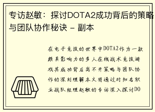 专访赵敏：探讨DOTA2成功背后的策略与团队协作秘诀 - 副本