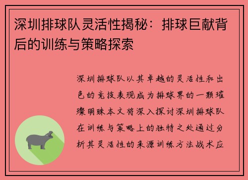 深圳排球队灵活性揭秘：排球巨献背后的训练与策略探索